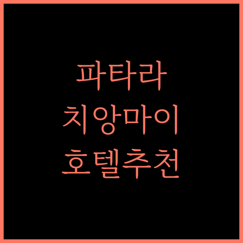 파타라 플레이스, 치앙마이 여행의 시작! 완벽한 3성급 호텔 추천 치앙마이호텔 파타라플레이스 태국여행