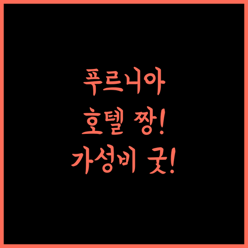 HOTEL SINGH PALACE 푸르니아 여행 최고의 선택! 가성비 호텔 추천