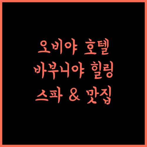 Hotel Oviya 바부니야 힐링 여행 스파와 맛집을 한 곳에서! 바부니야호텔 스파여행 맛집탐방