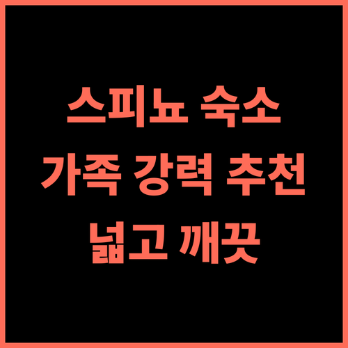 Alloggio1 추천 후기 스피뇨 사투르니아 가족 여행객에게 강력 추천하는 숙소 청결하고 넓은 공간 가족여행 스피뇨사투르니아 Alloggio1
