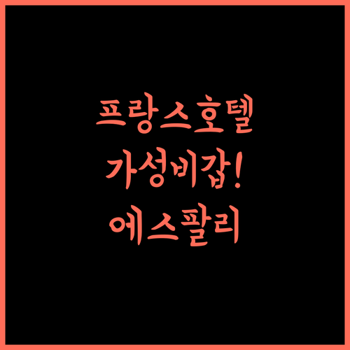 Hotel de France.. 에스팔리옹 여행의 완벽한 선택! 에스팔리옹호텔 프랑스여행 가성비호텔