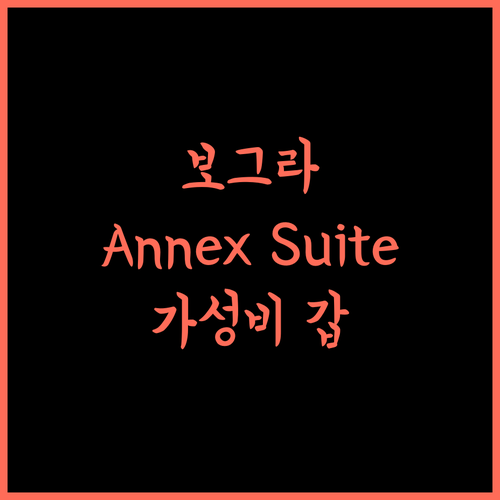 보그라 Annex Suites 완벽 분석 가격 대비 최고의 선택!