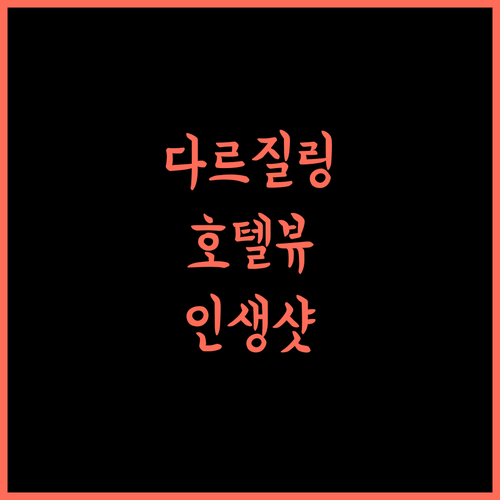 Tigerhill Homestay 다르질링 힐사이드 절경 숙소 경험 어떠세요?