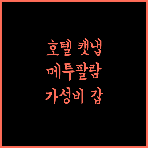 Hotel Catnap, 메투팔라얌 여행의 시작.. 쾌적한 휴식을 위한 완벽 공간! 메투팔라얌 호텔추천 가성비갑