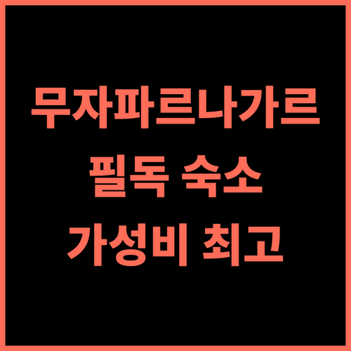 The Velvista Hotel 추천 후기 무자파르나가르 여행객 필독 숙소! 가성비 최고의서비스 무료조식