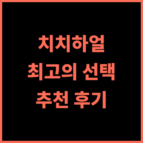 Liyuan International Hotel 추천 후기 치치하얼 중심가 최고의 선택 비즈니스호텔 접근성최고 치치하얼숙소