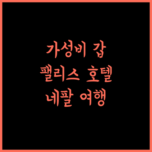 호텔 해리슨 팰리스 추천! 비르타나가르 최고의 3성급 호텔 경험 네팔여행 비르타나가르호텔 가성비호텔