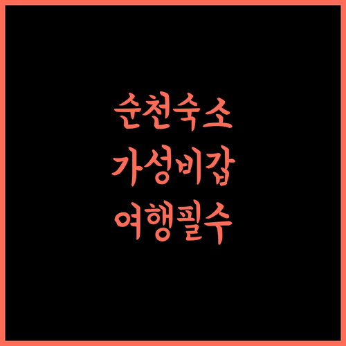 순천 비타민.. 가성비 숙소, 순천 여행의 실속 있는 선택!