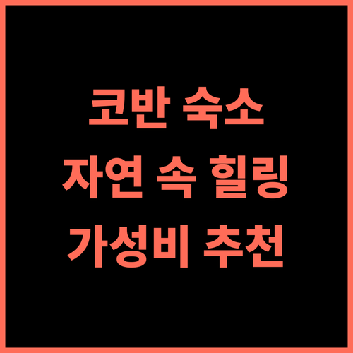 Cora Izone 추천 후기 자연 속 힐링 가성비 숙소 코반 여행 필수 숙소 코반숙소 자연친화 무료주차 배낭여행