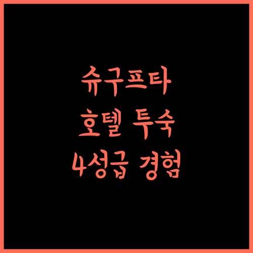 Shugufta Hotel inn 에서 즐기는 머리 여행 잊지 못할 4성급 경험!