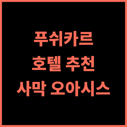 호텔 데라 마수다 추천 후기 사막 속 오아시스같은 놀라운 경험 푸쉬카르호텔 인도여행 수영장