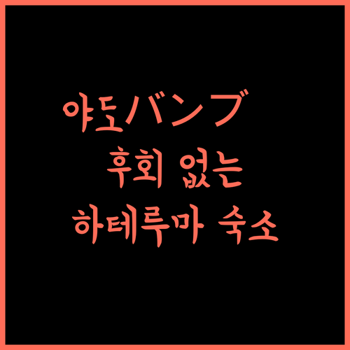 야도バンブー 하테루마 최고의 숙소! 후회 없는 선택