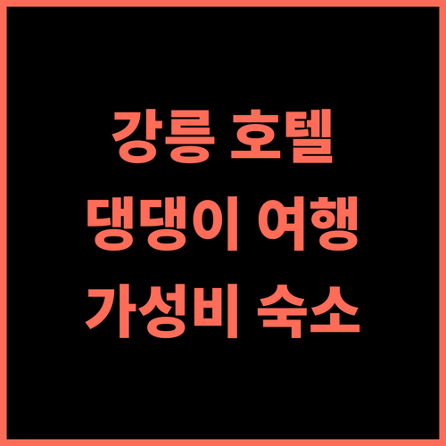 위드랜드 호텔 강릉 추천 후기 댕댕이와 함께 떠나는 강릉 여행! 애견동반 강릉여행 가성비 바다앞