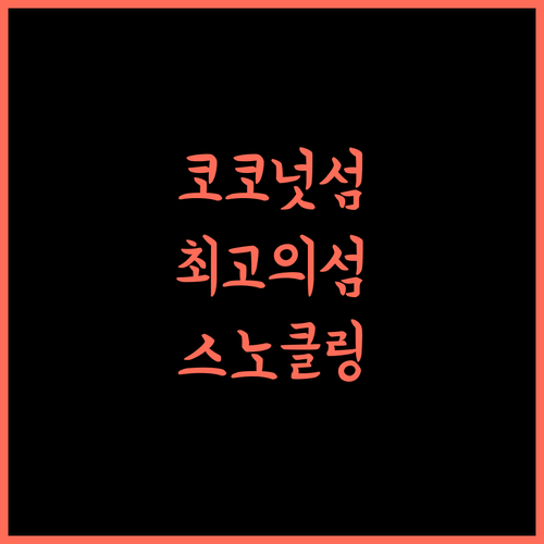 디'코코넛 라군, 랑 텐가 최고의 선택! 스노클링과 다이빙의 천국