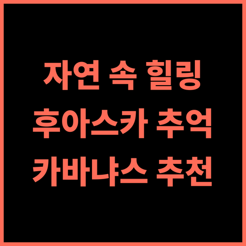 Cabañas Las orquídeas 추천 후기 자연 속 힐링, 잊지 못할 후아스카의 추억 후아스카 카바냐스 자연여행