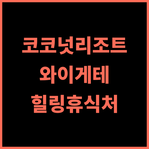 코코넛 가든 비치 리조트 추천 후기 와이게테 평화로운 휴식처, 지금 바로 예약하세요! 와이게테여행 해변리조트 가족여행 힐링
