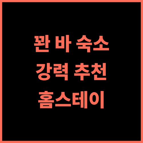 Dồn Dao Homestay 강력 추천 아름다운 꽌 바 숙소 후기