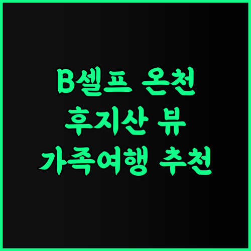 B셀프 후지 온센 빌라 추천 후기, 후지카와구치코 여행객에게 최고의 선택! 온천 후지산 가족여행