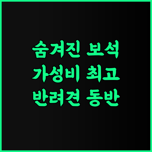 Maravilloso Sathram 추천 후기 반디페리야르의 숨겨진 보석 같은 숙소! 특별한 경험 가성비 프라이빗 반려동물동반
