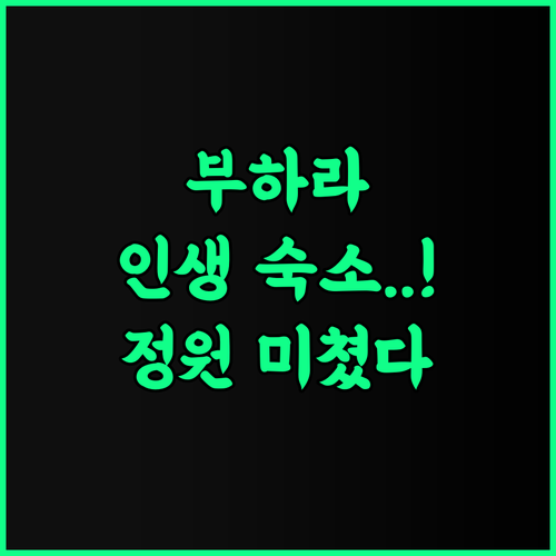 Antique hotel Imran 추천 후기 고풍스러운 분위기와 정원이 매력적인 부하라 여행 숙소