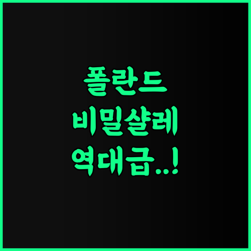 Wilcza Chatka na Kaszubach 추천 조용한 휴식을 보장하는 폴란드 프라이빗 샬레 완벽 후기