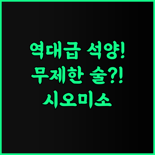 오에도 온센 모노가타리 프리미엄 시오미소 추천 후기 니가타 무라카미의 환상적인 석양과 무제한 라운지 혜택