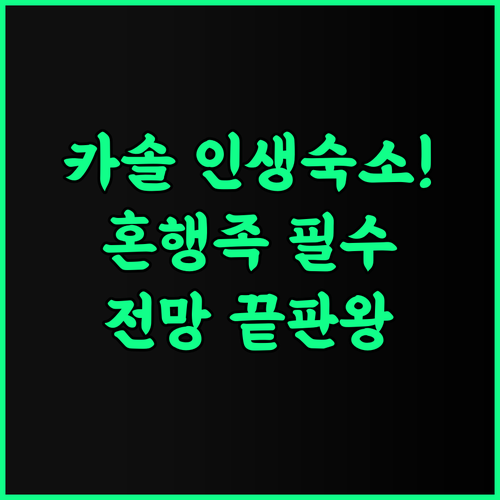 더 호스텔러 카솔 파르바티 밸리 추천 혼자 여행하는 이들을 위한 최고의 전망 숙소 후기