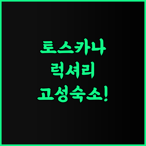 La Torre del Vicario 후기 이탈리아 토스카나 고성 숙소의 럭셔리한 휴식