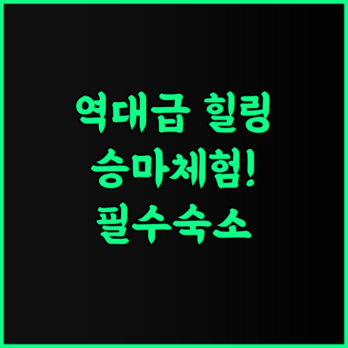 아라발리 트레일 어 네이처 리조트 추천 자연 속 승마 체험과 힐링을 위한 팔란푸르 숙소 후기