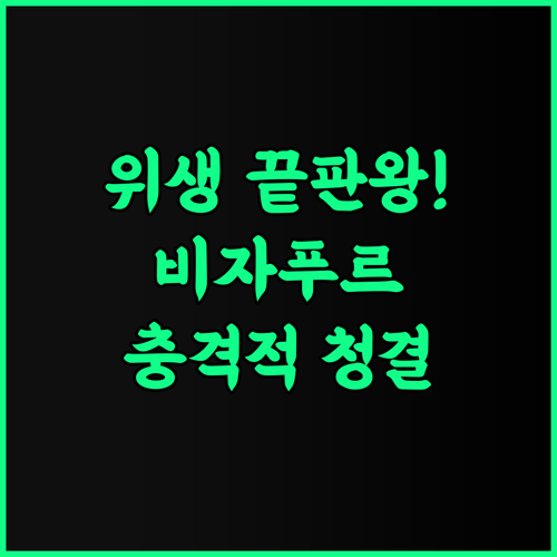 Bijapur Lodge 후기 청결함과 위생이 완벽한 비살푸르 숙소 추천