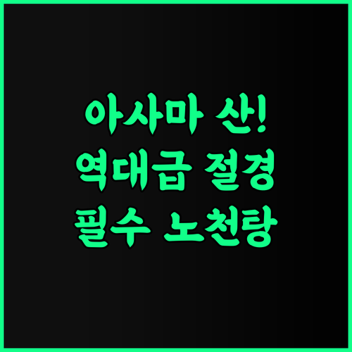 빌라 기타가루이자와 L-윙 후기 아사마 산의 절경과 노천탕을 즐기는 최고의 온천 호텔 추천