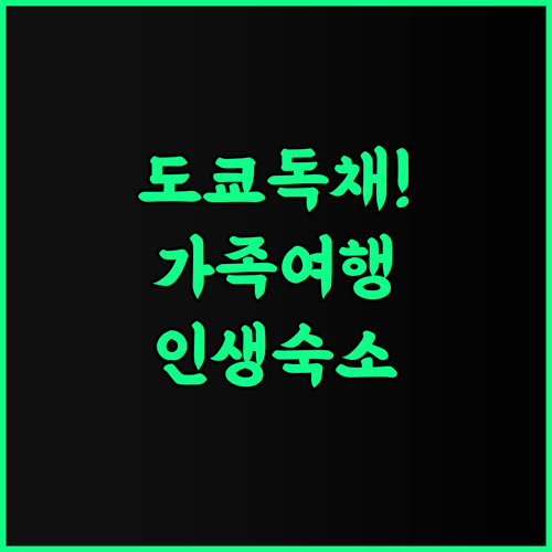 가츠시카 프라이빗 하우스 후기 가족 여행객을 위한 도쿄 독채 숙소 추천