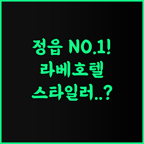 정읍 라베호텔 추천 후기! 스타일러 구비로 출장객에게 인기 있는 정읍 최고의 선택