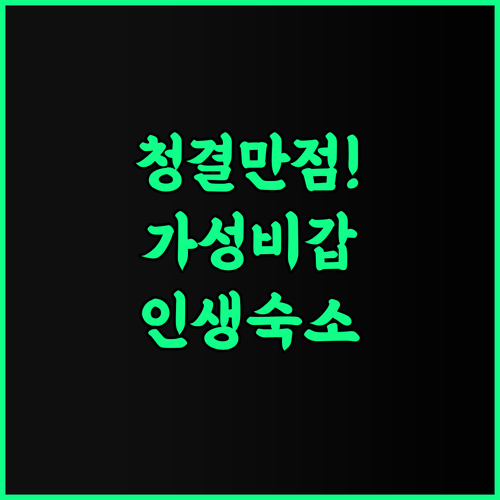 Hostel 5 rooms 후기 청결도 평점 만점인 오스케멘 가성비 최고의 숙소 추천