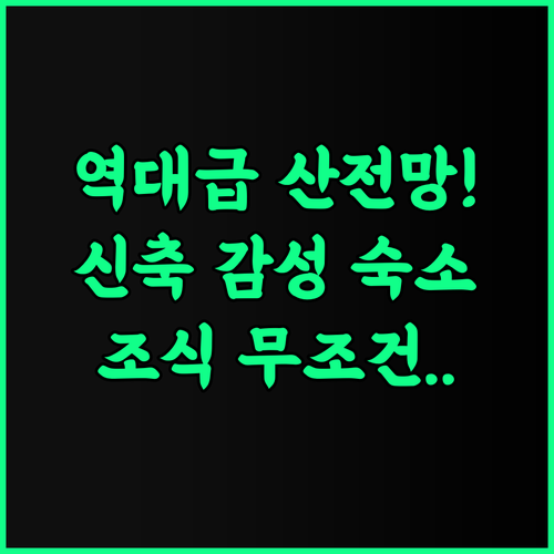 Hotel Montana Vyoo 후기 남치 신축 숙소에서 즐기는 최고의 산 전망과 조식 추천