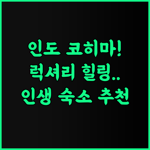니라아마야 리트리츠 아라두라 코히마 후기 인도 코히마 자연 속에서 누리는 완벽한 럭셔리 힐링 숙소 추천